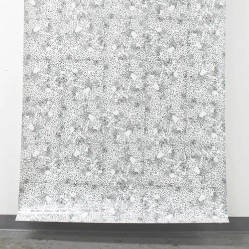 Skin : Alexis Harding, Spring Hurlbut, Alexander Josephson, Margaret Priest, Tony Scherman... March 1 – April 19, 2008