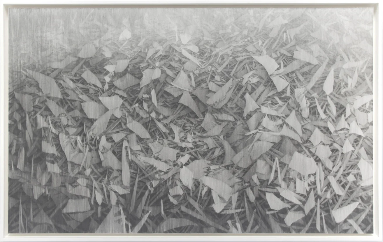 Freehold, 2015, 36 x 57 inches framed, lead, paper