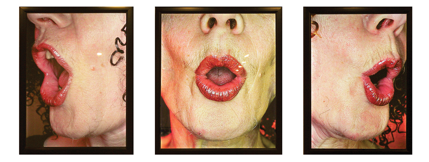 Beauty at a Proper Distance/In Song, 2002/2012, triptych, 55 x 45 inches, 55 x 48 inches, 55 x 45 inches, 3 lightbox installation