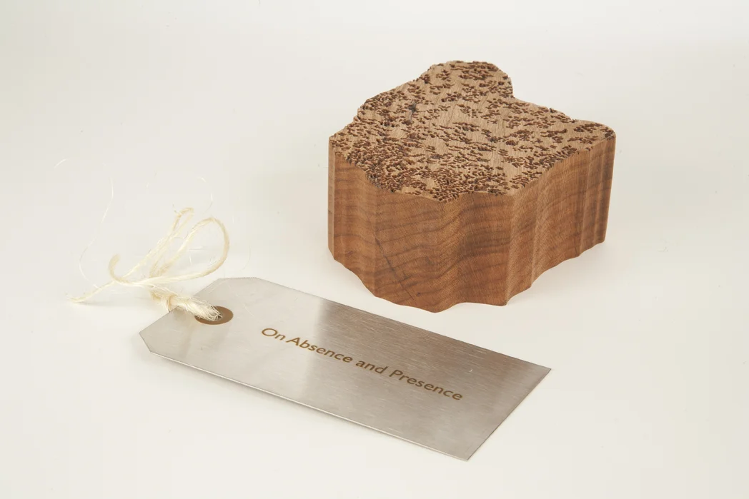 Cherrywood Fragment of Rubble with Metal Tag