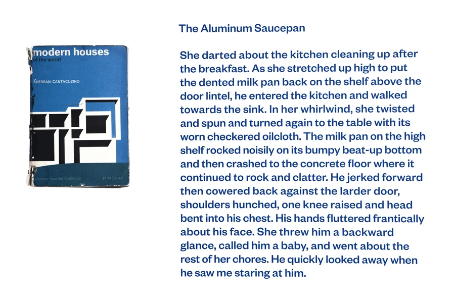 The Aluminum Saucepan, 2011, 26 x 40.25 inches, vinyl, ed. 2