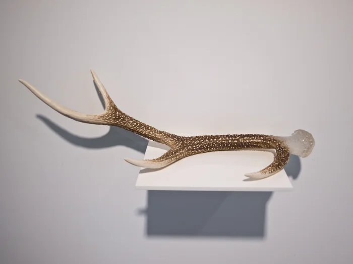 Shikanotsuno , 2011, 4.5 x 17.5 x 5 inches, paint on resin, 5/5