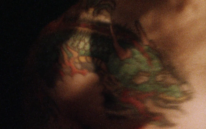 A Bestiary (dragon), 2013, 16mm film transferred to digital, video installation