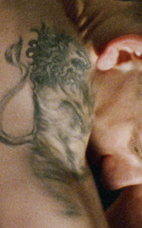 A Bestiary (lion), 2013, 16mm film transferred to digital, video installation