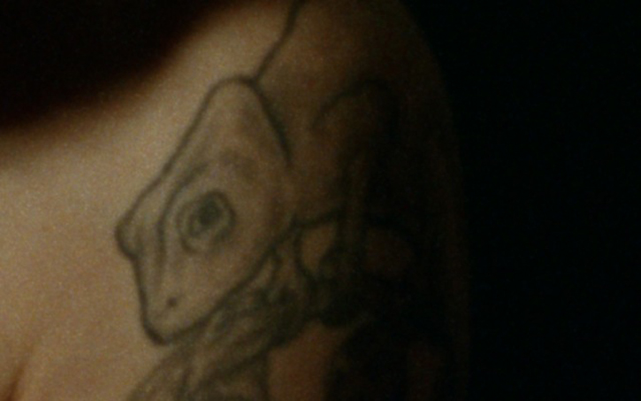 A Bestiary (lizard), 2013, 16mm film transferred to digital, video installation