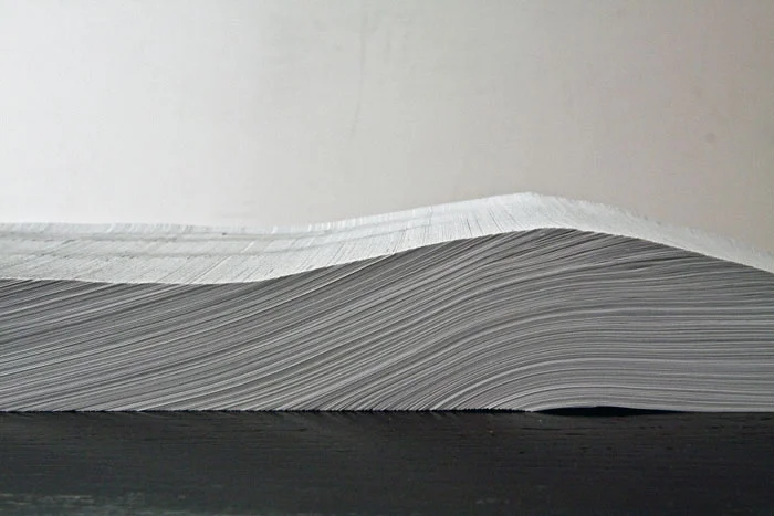 Frankenstein; or, the Modern Prometheus (detail), 2009, approx. 7 feet, paper installation