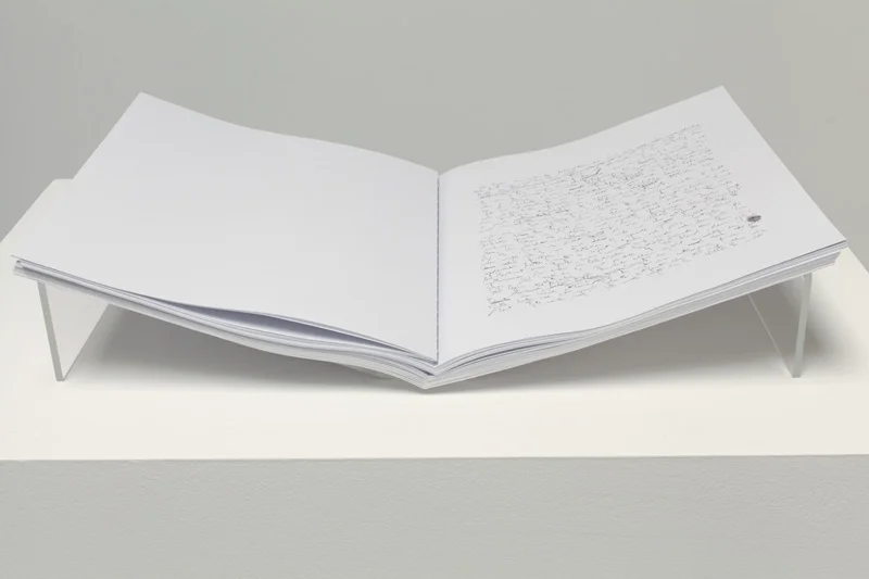 Trial I , 2012, 14 x 22 inches each, 26 sheets of paper, singular multiple