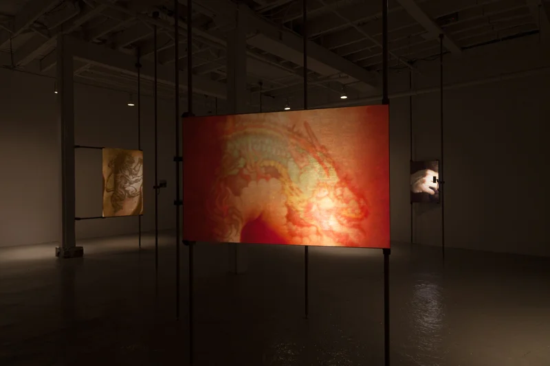 A Bestiary (dragon) (installation), 2013, 16mm film transferred to digital