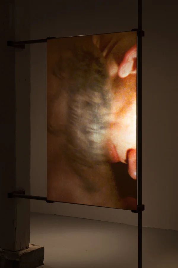 A Bestiary (lion) (installation), 2013, 16mm film transferred to digital