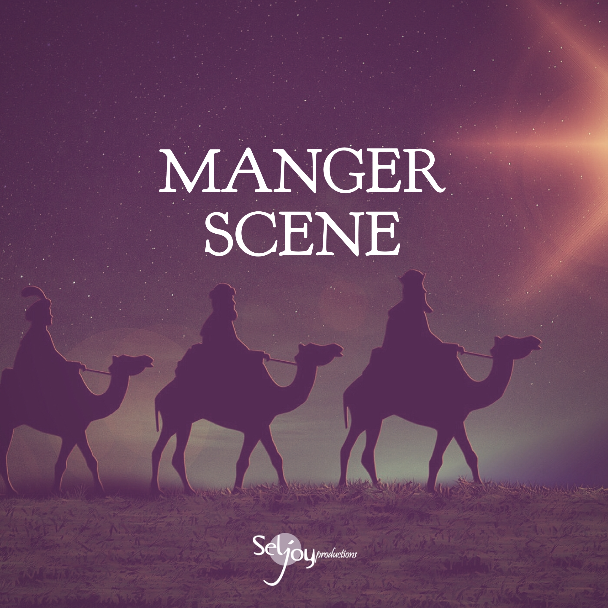 Manger Scene