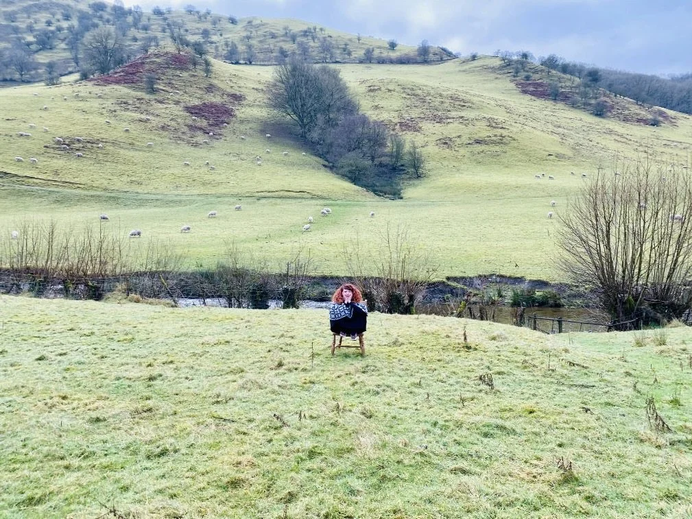 WELSH ROYAL PONCHO SITTING ON THE CHAIR LANDSCAPE DISTANCE - 500 KB MAX.jpg