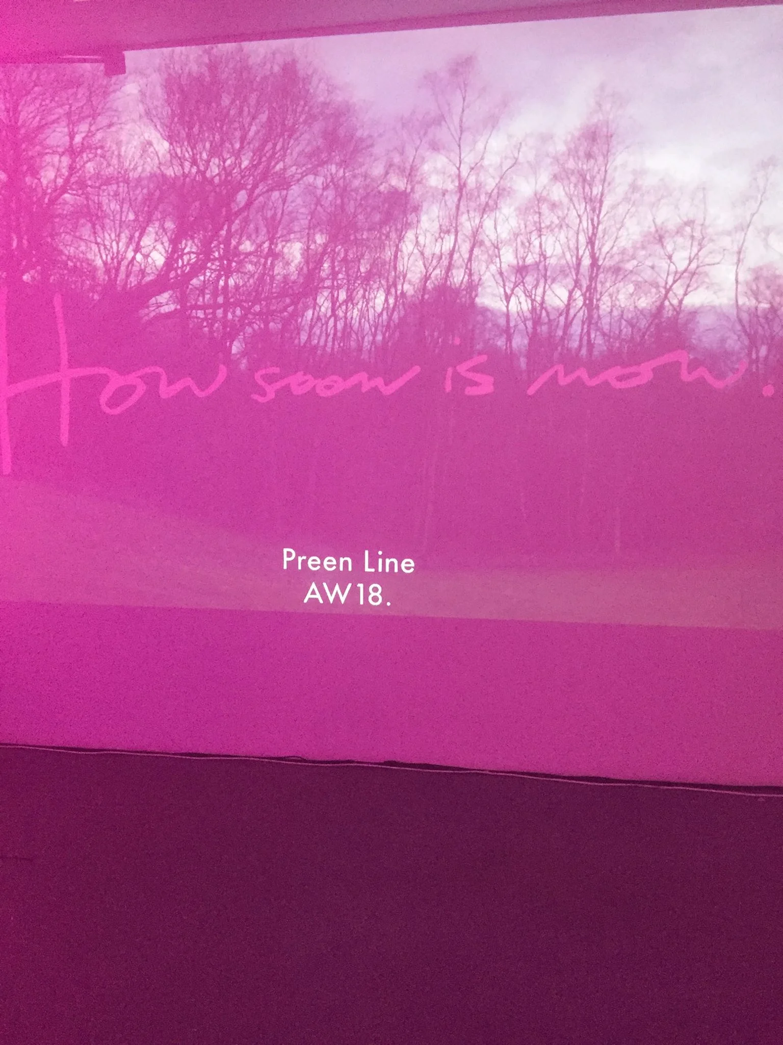 preen.jpg