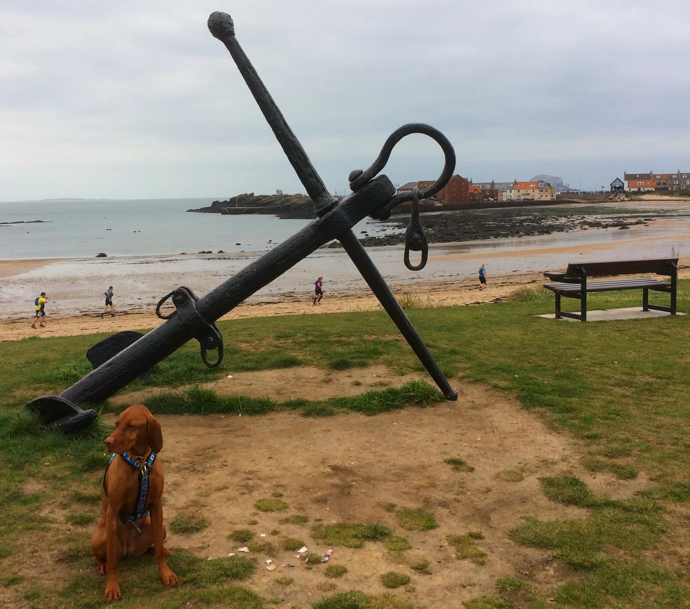 Princess Jasper posing as the running ants make their way along North Berwick beach