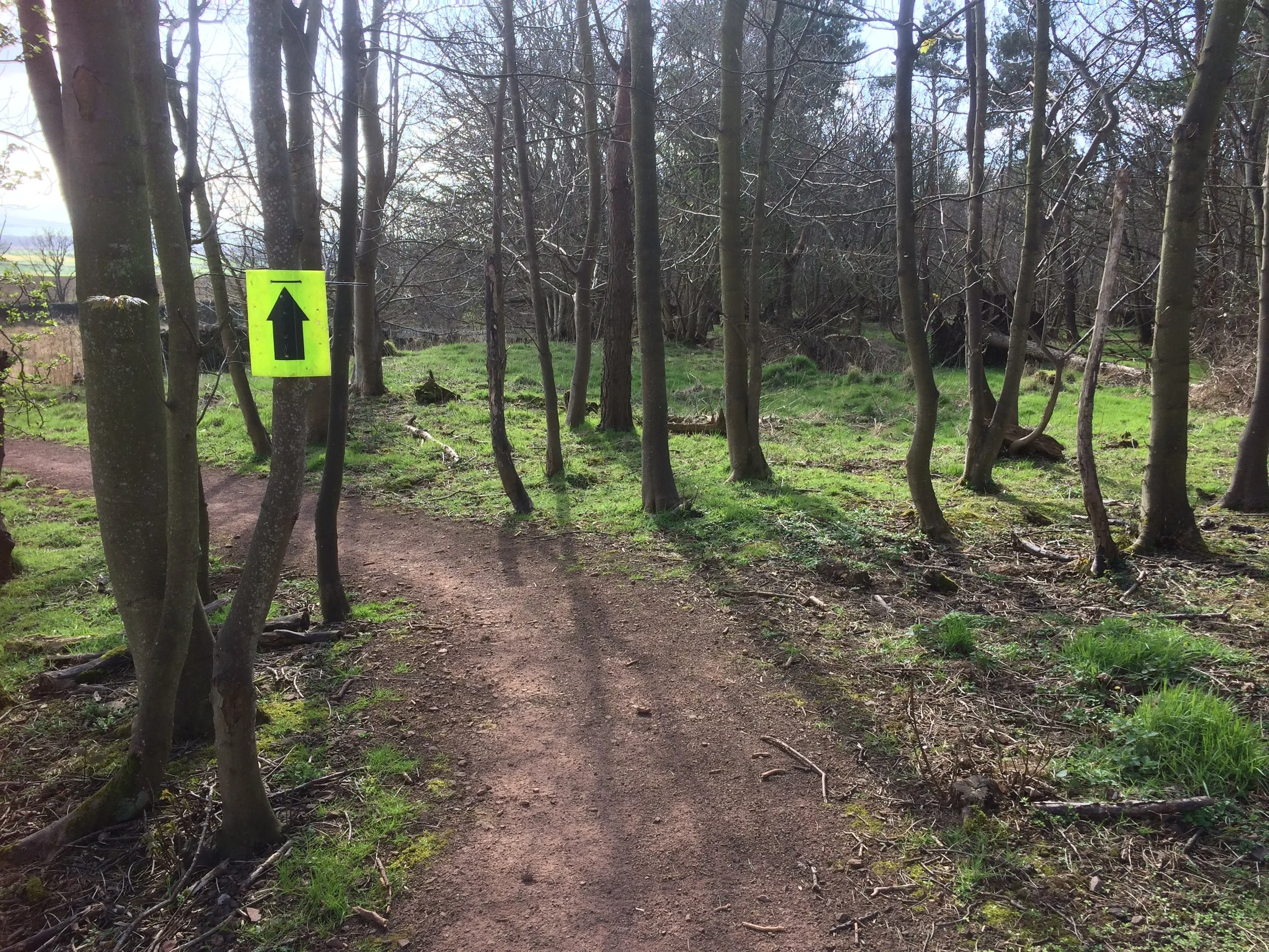 Simple trail porn