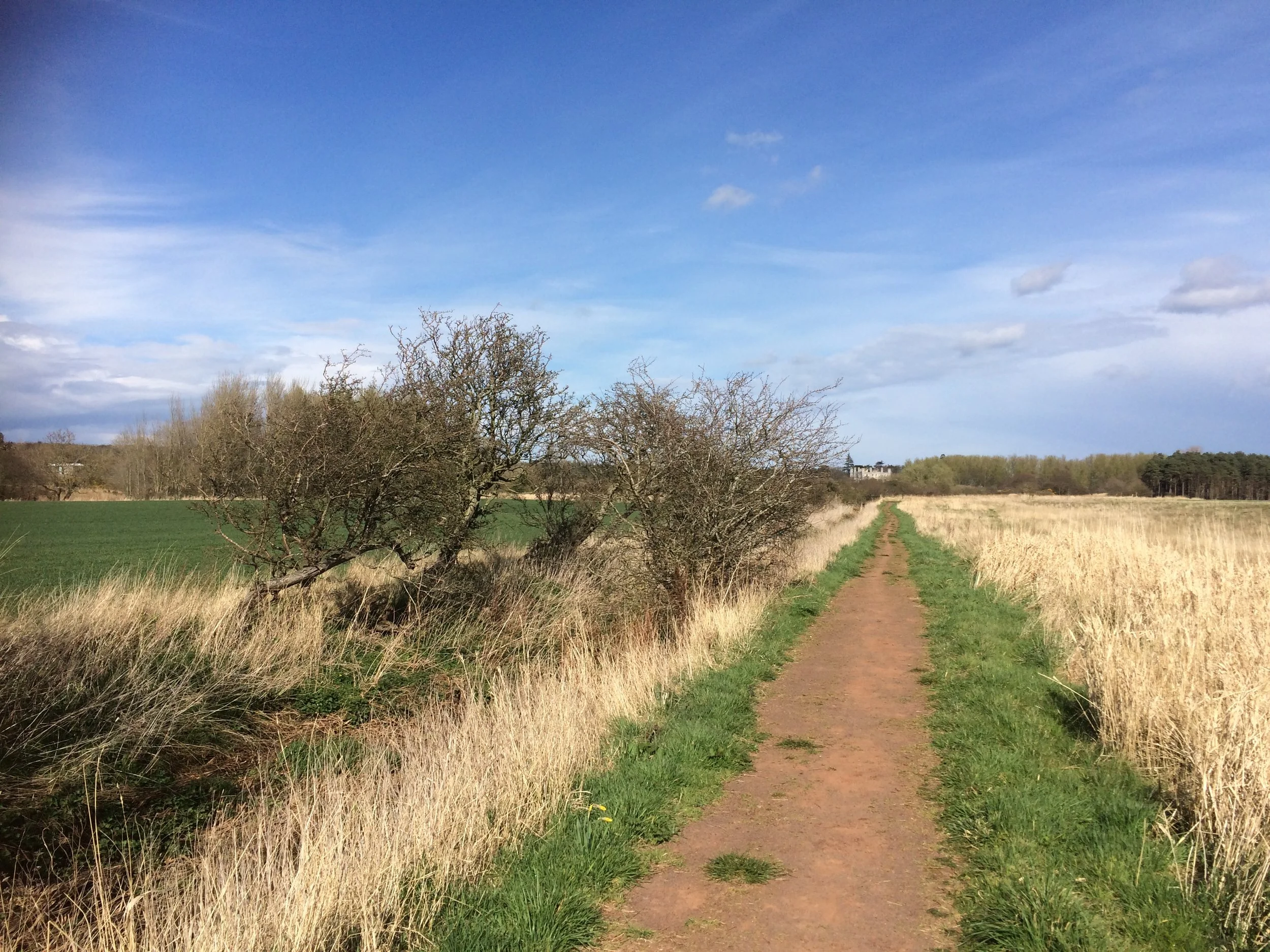 Blue skies and lush fields