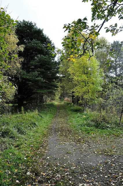 The epic trails along the way - image by Lee Carson