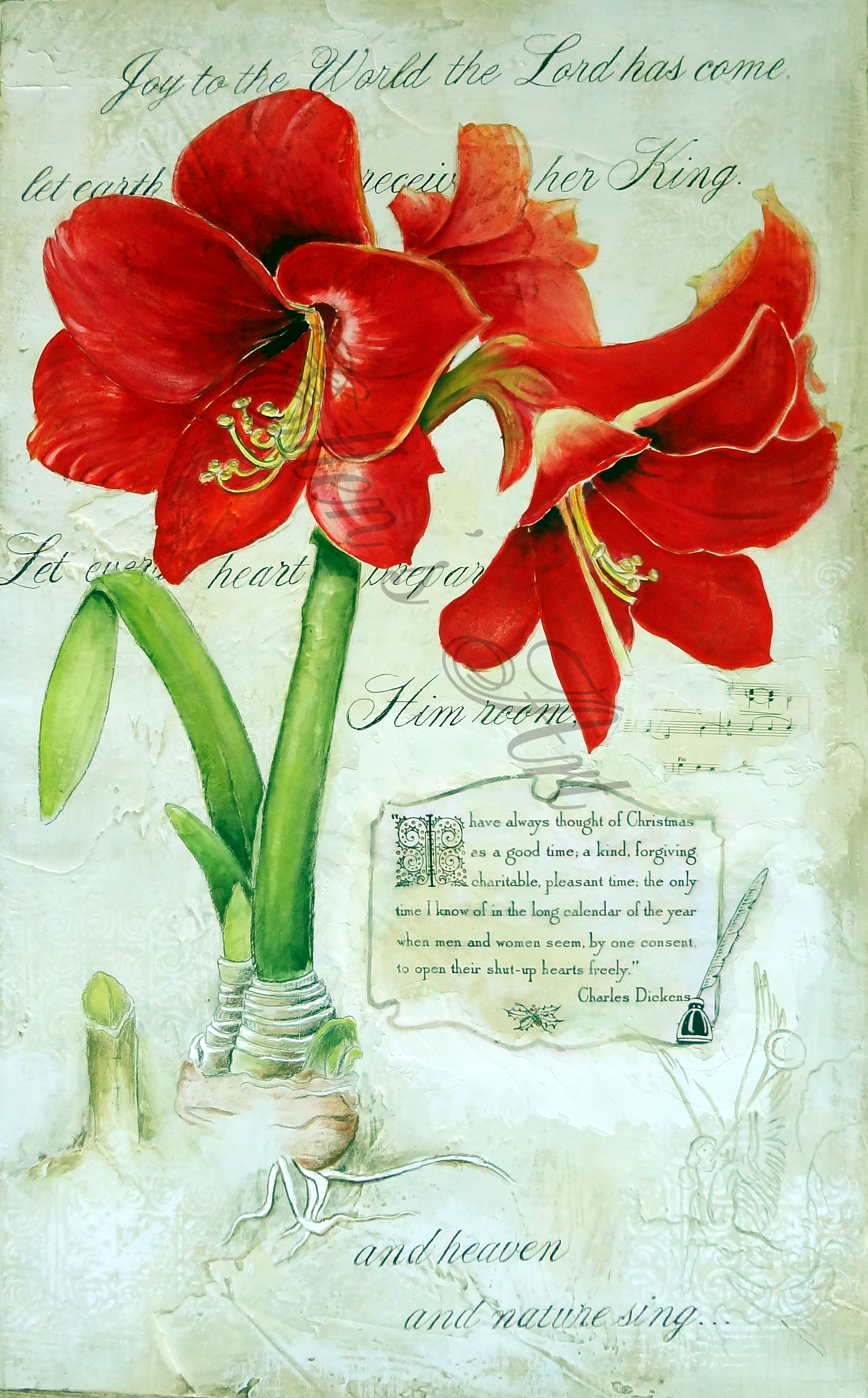 Amaryllis