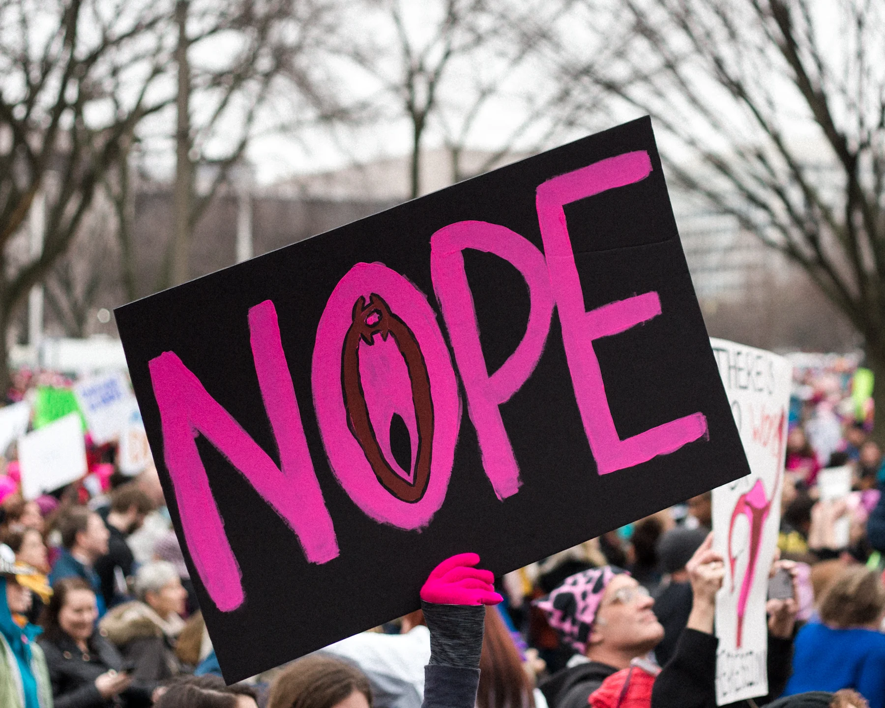 Womens March, Washington D.C., 1/21/17