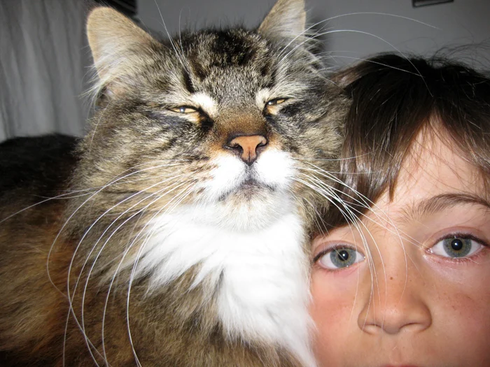 the ambassador and hugo_adj01.jpg