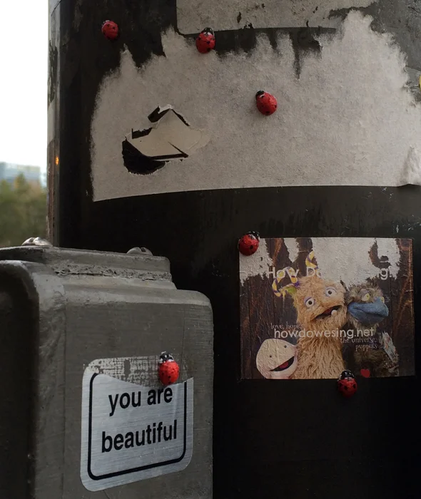 ladybugs. by isabelle