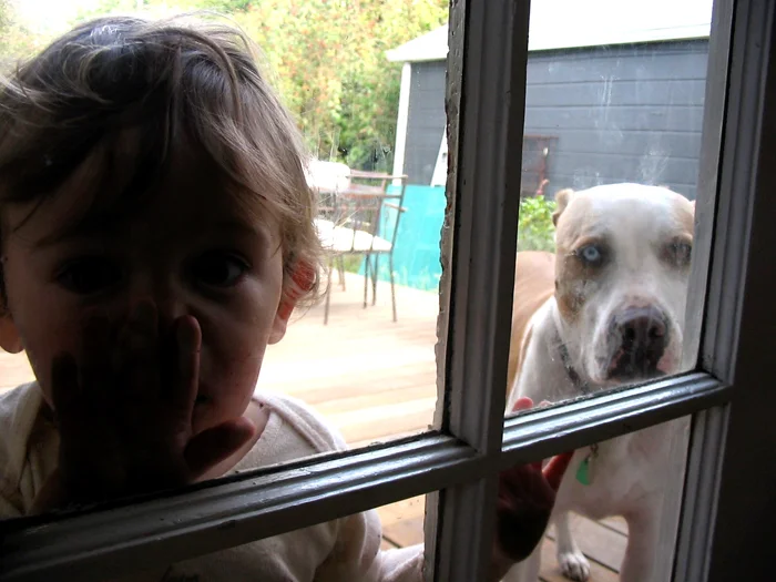 hugo-7th street-looking in back window (door)-buster_adj01-small.jpg
