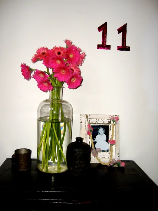 Eleven-Flowers-San Luis_adj01-sm.jpg
