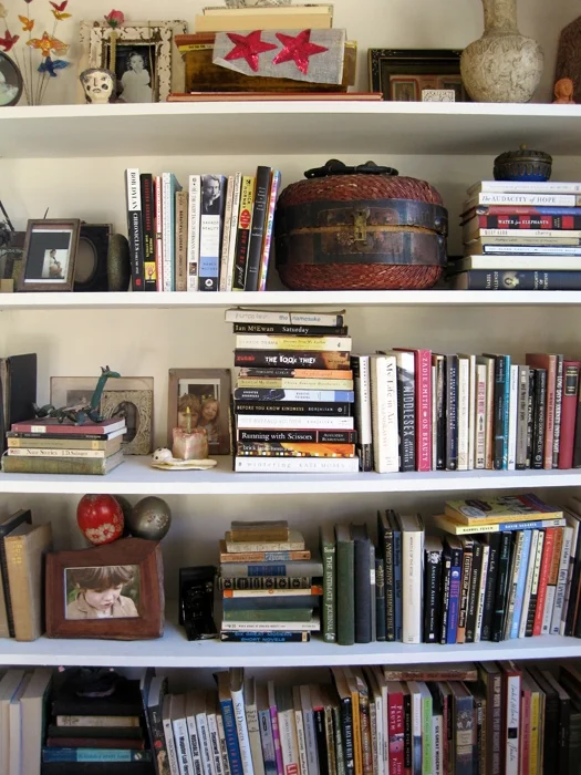 livingroom bookshelf_adj01-sm.jpg