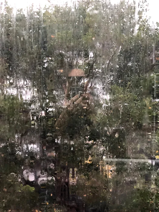 Rainy Window Abstract_adj01-sm.jpg