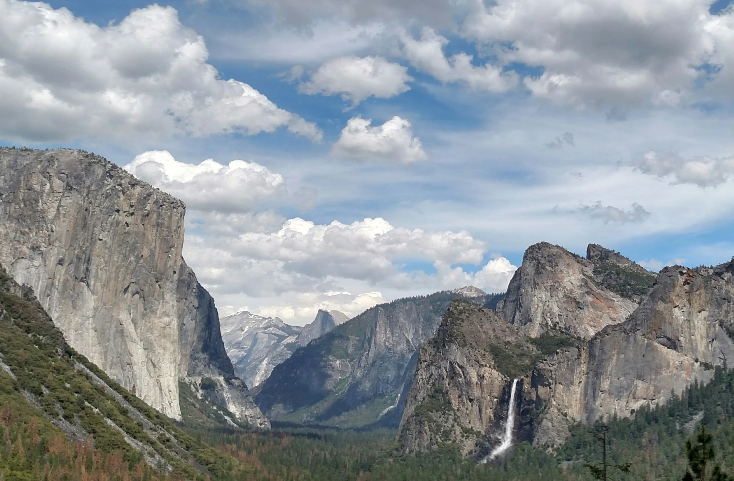 Half Dome in the background. Yosemite. 2016.www.chibeingchi.com