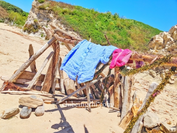 Driftwood Sculpture/Fort