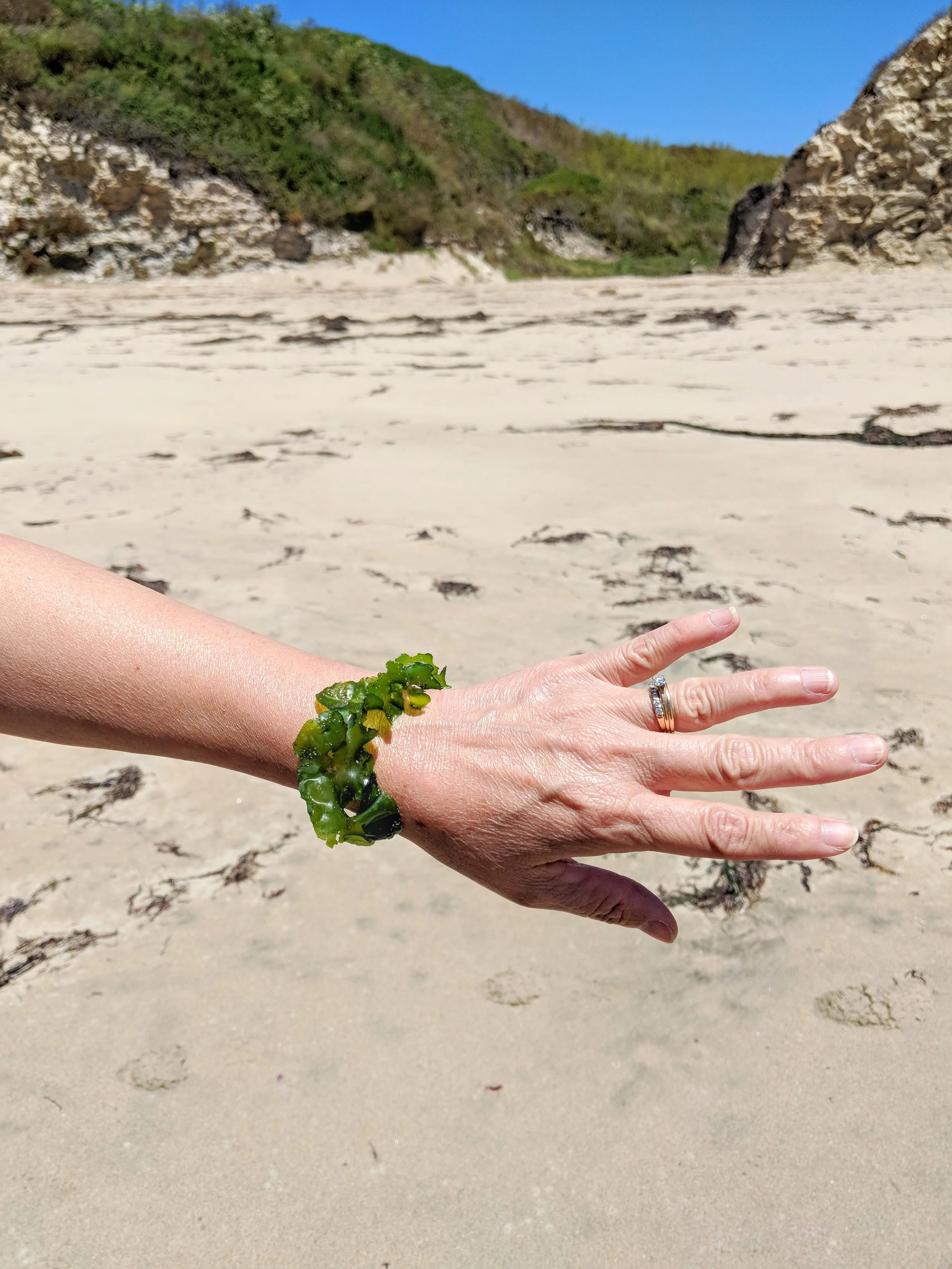 Seaweed Jewelry
