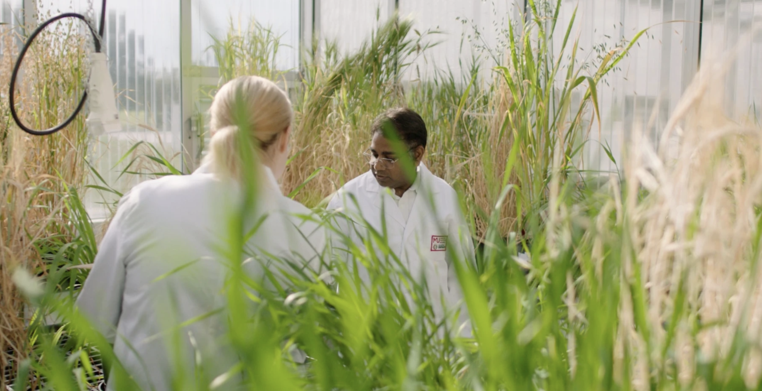  Murdoch University - Building a brighter future, together | online video for Murdoch University | Rhythm Films | Agency: Wunderman Thompson 