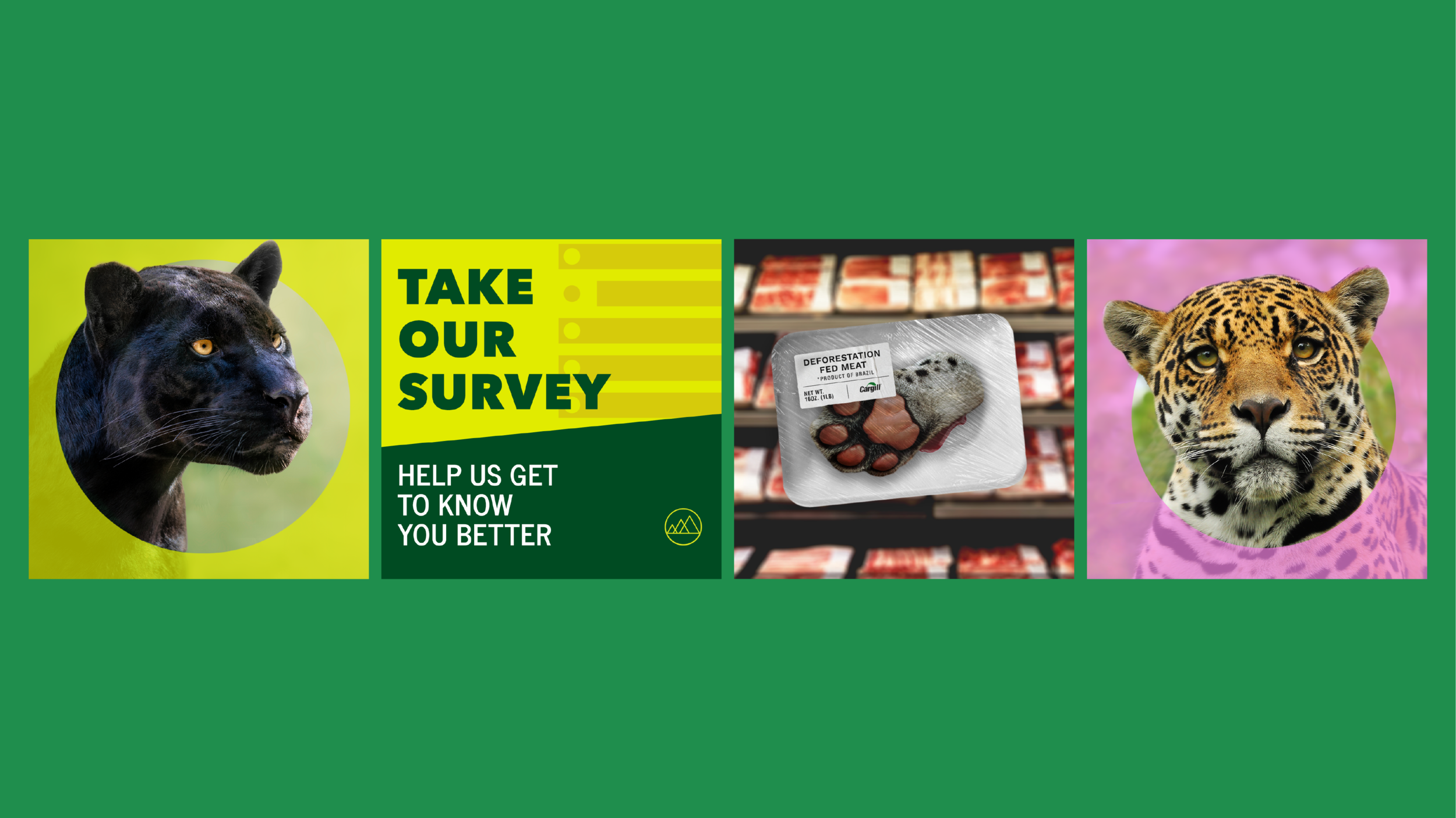 A sample of the digital ads and social graphics created for the launch and the campaign around cancelling Costco.