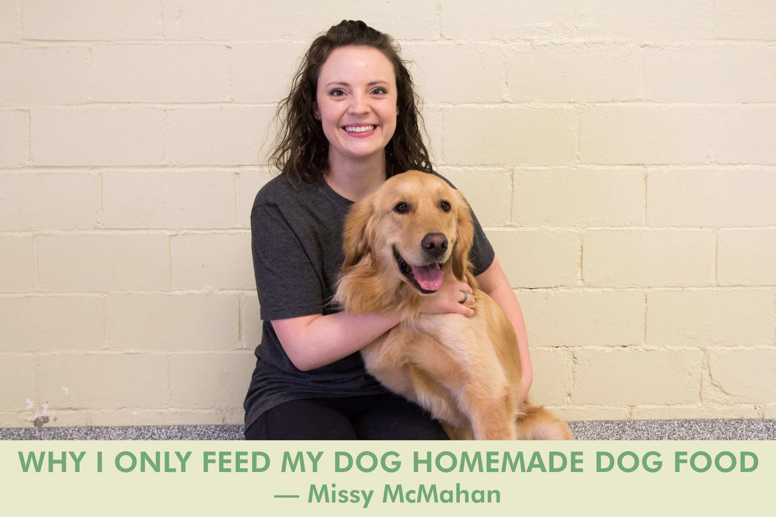 Why I Only Feed My Dog Homemade Dog Food