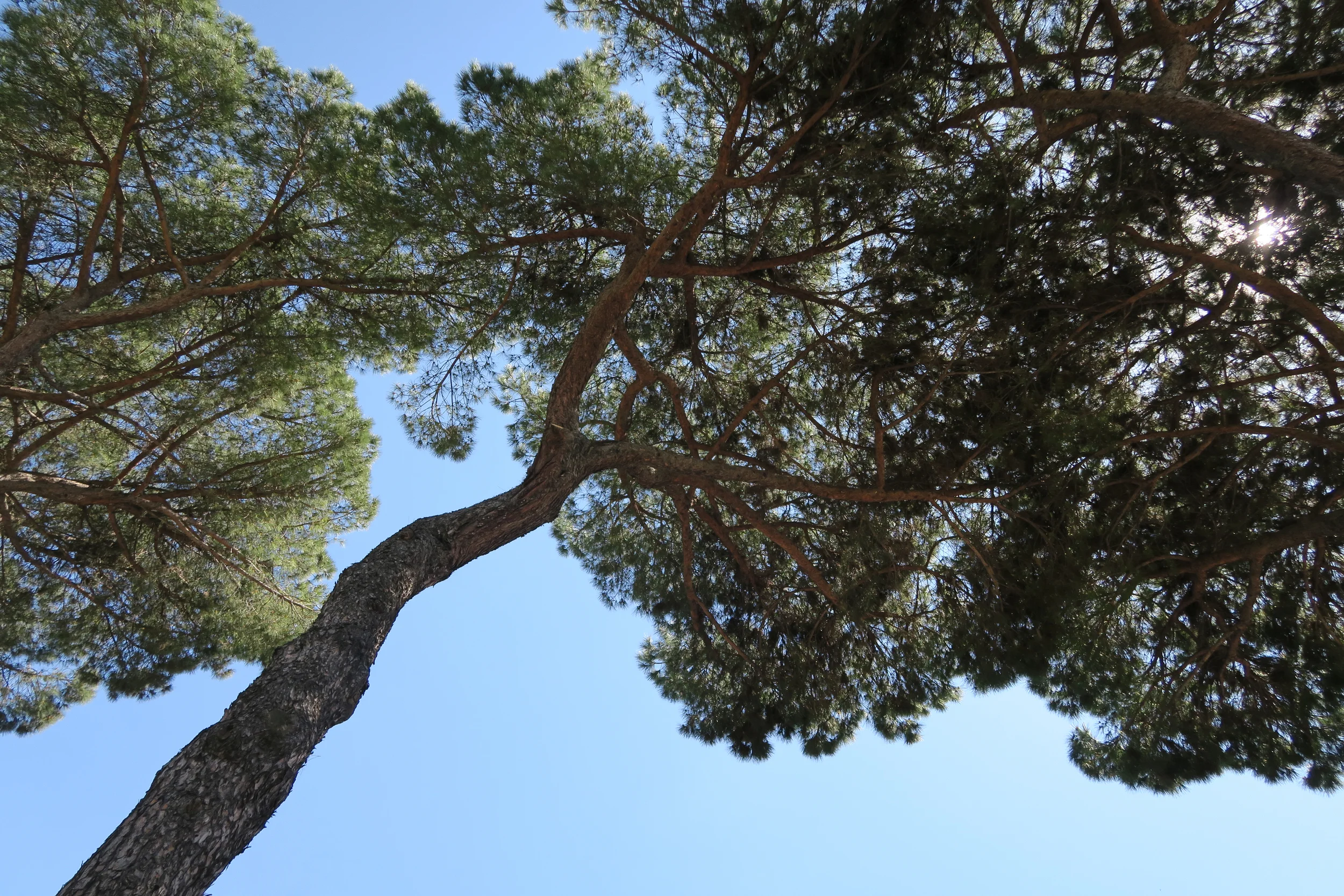 romeitaly2016-4.jpg