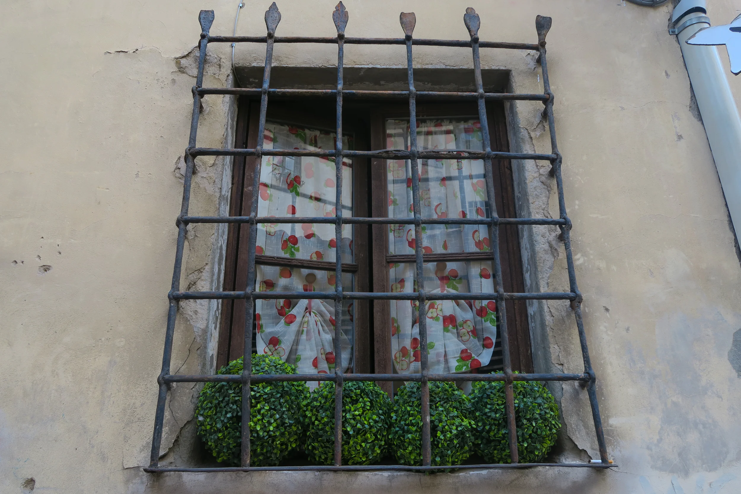 rome2016-1-2.jpg