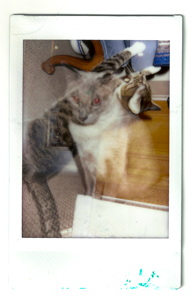 instaxflim-26.jpg