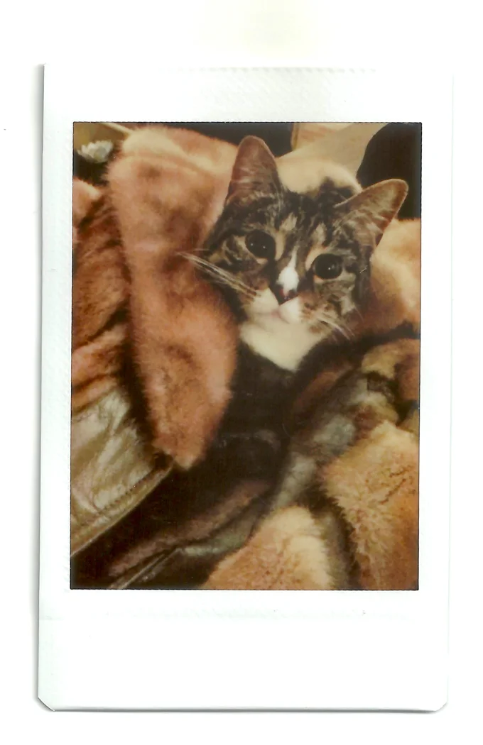 instaxflim-27.jpg