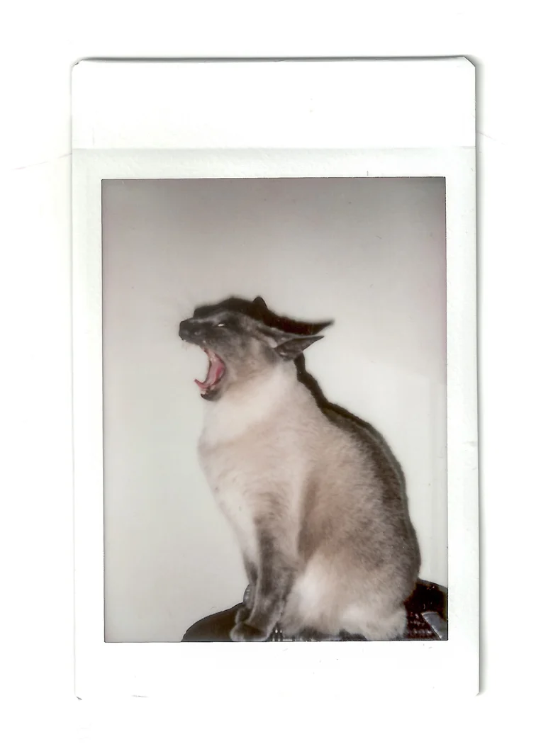instaxflim-1.jpg