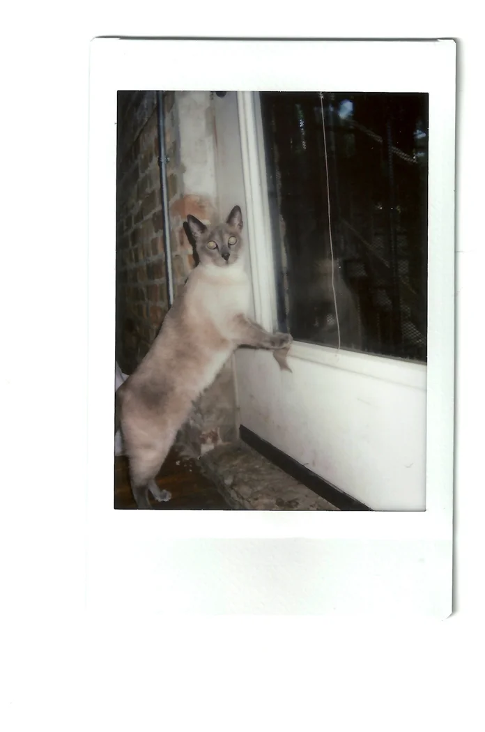 instaxflim-25.jpg