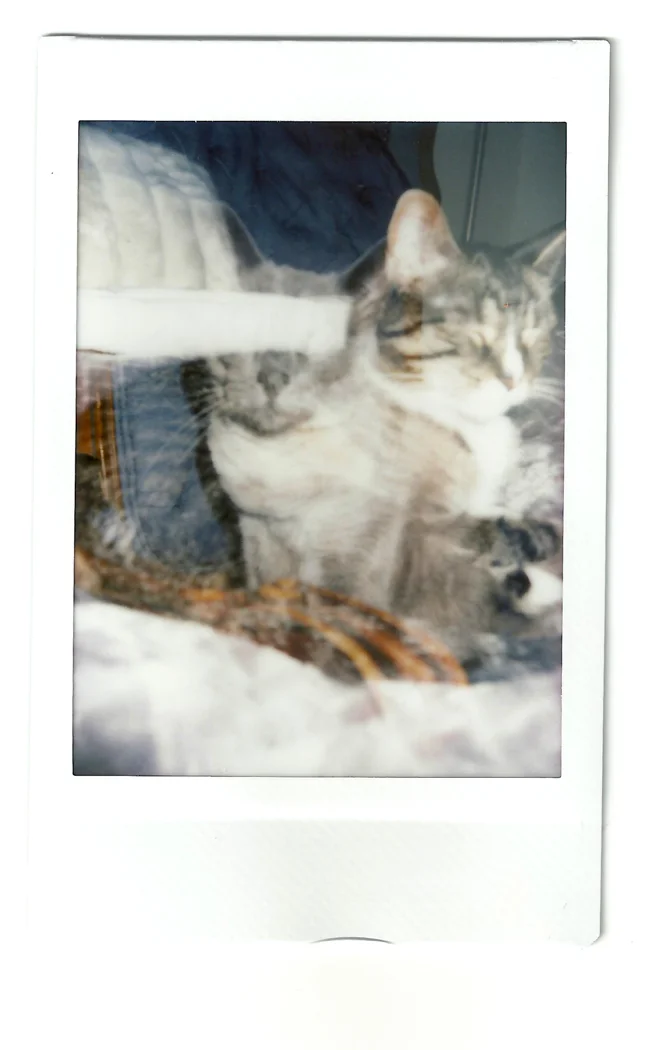instaxflim-8.jpg