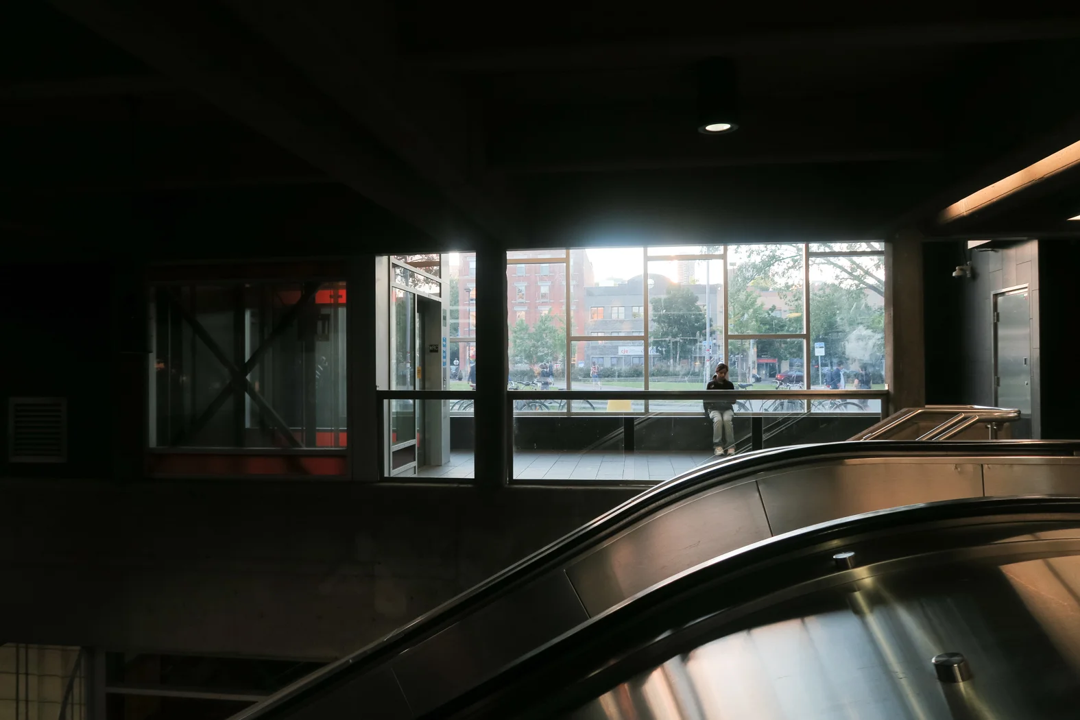 lizinmontreal-1.jpg