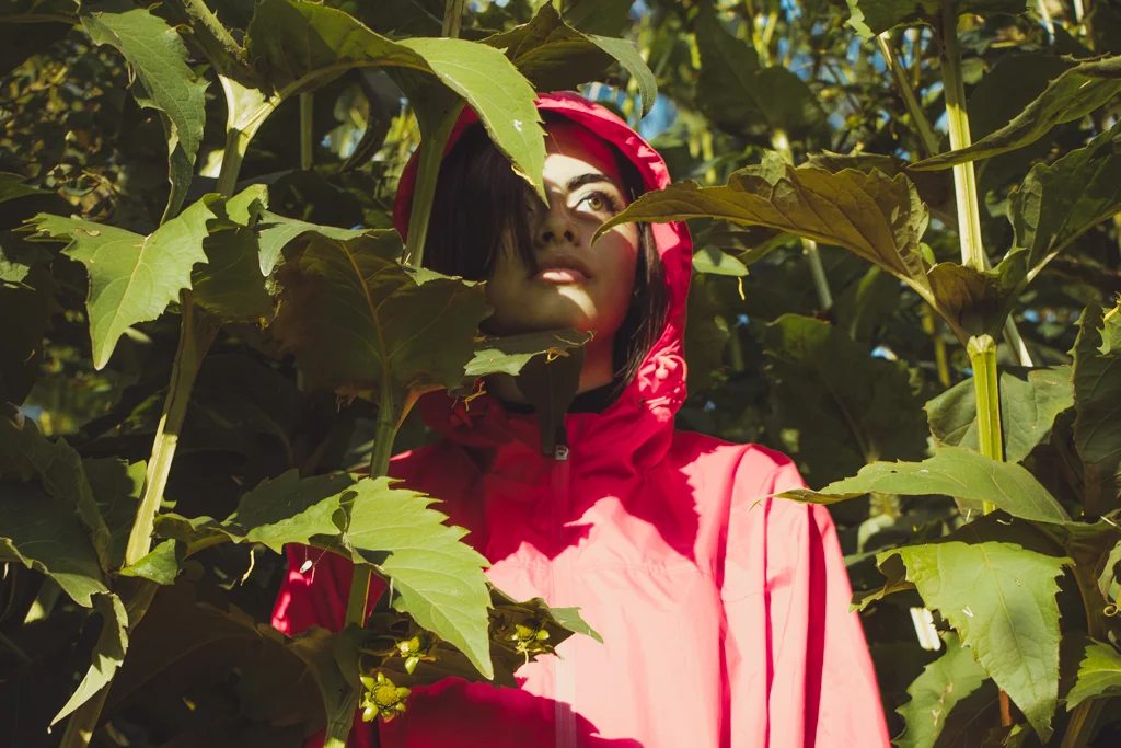samshh-13.jpg