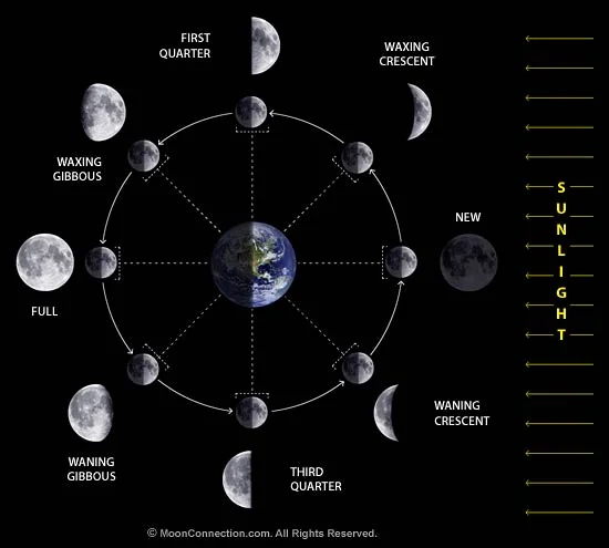 Moon phases diagram