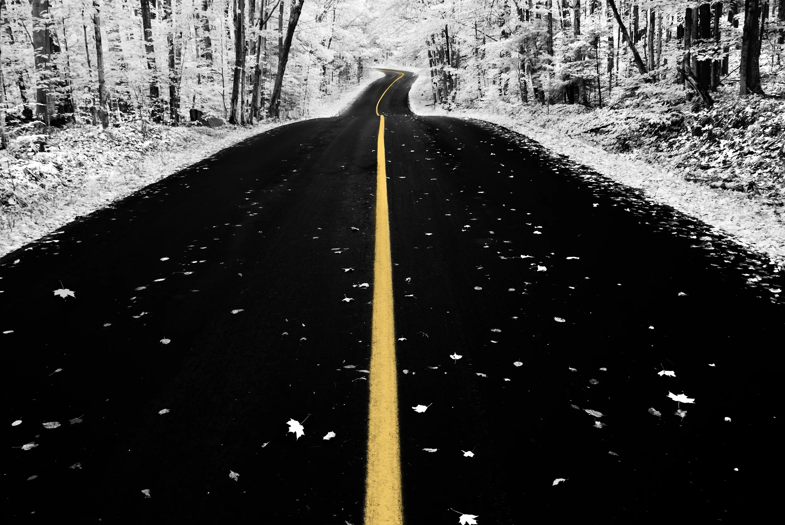 road.jpg
