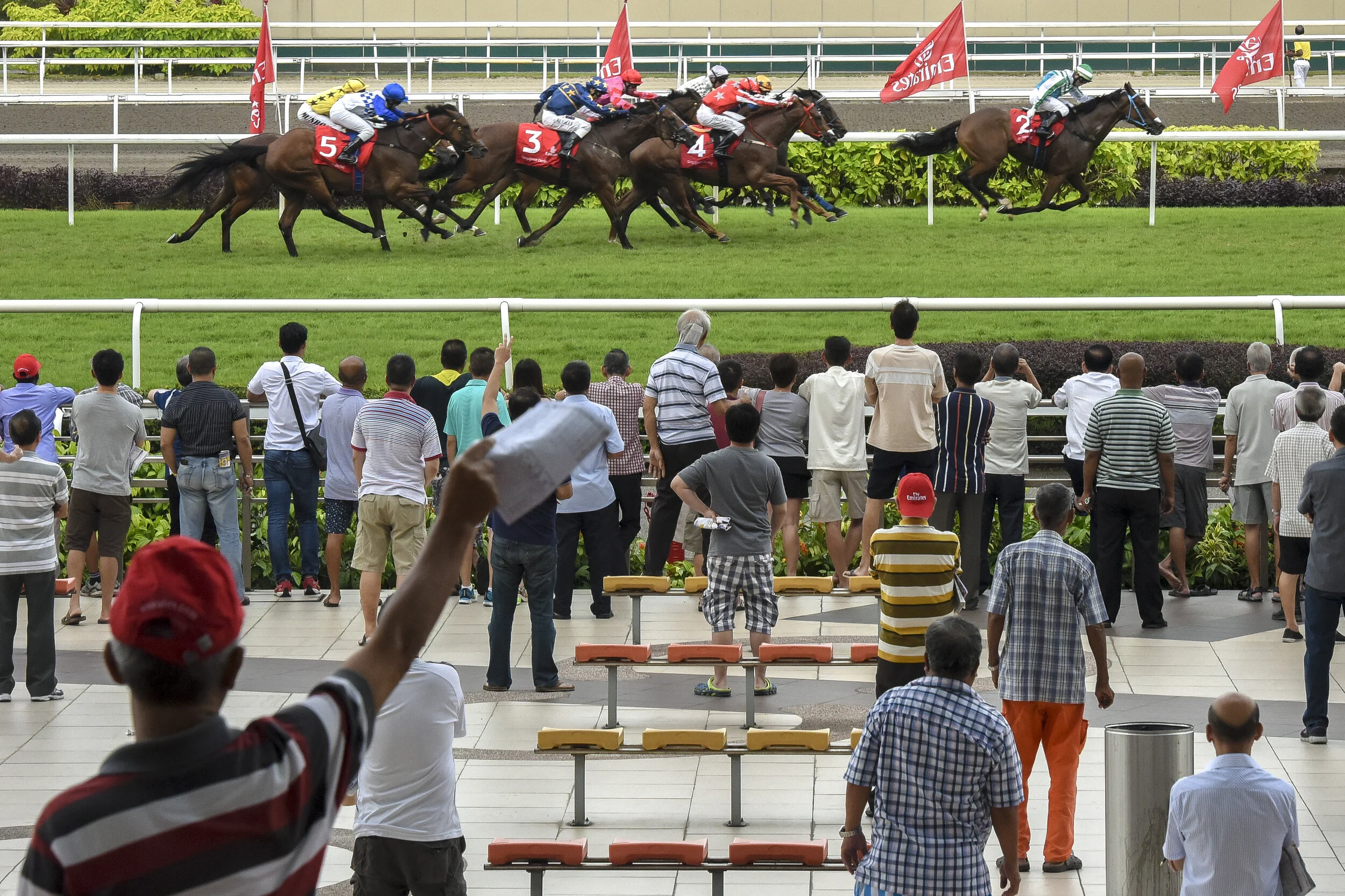 Spectators cheer as jockey Manoel Nunes takes racehorse Infantry to victory across the finish line at the Emirates Singapore Derby on July 9 2017.  