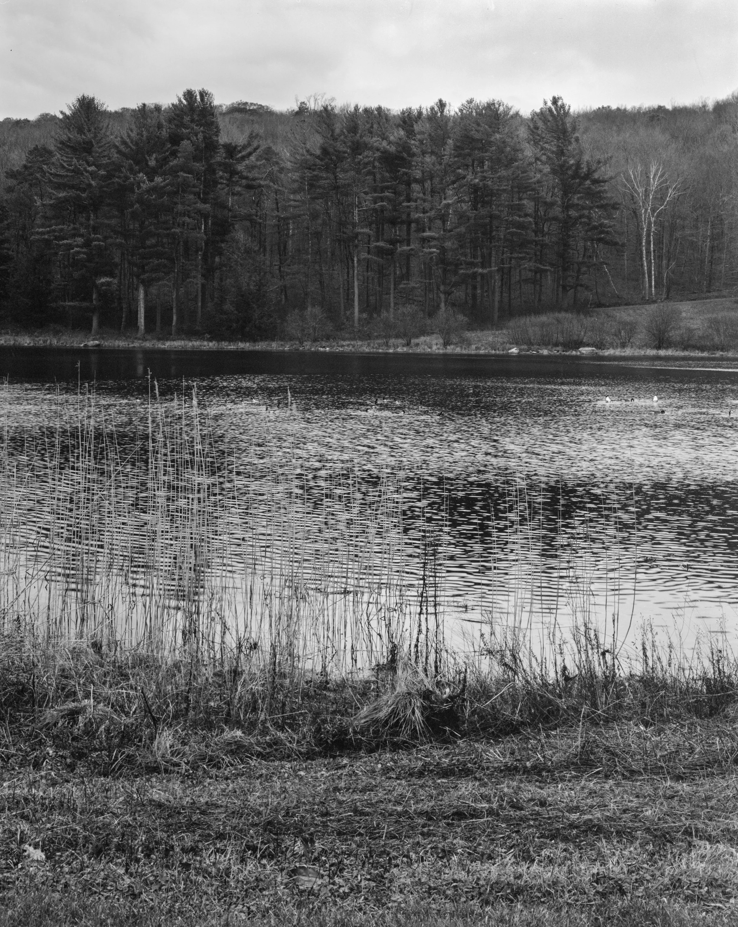 CT lake.jpg