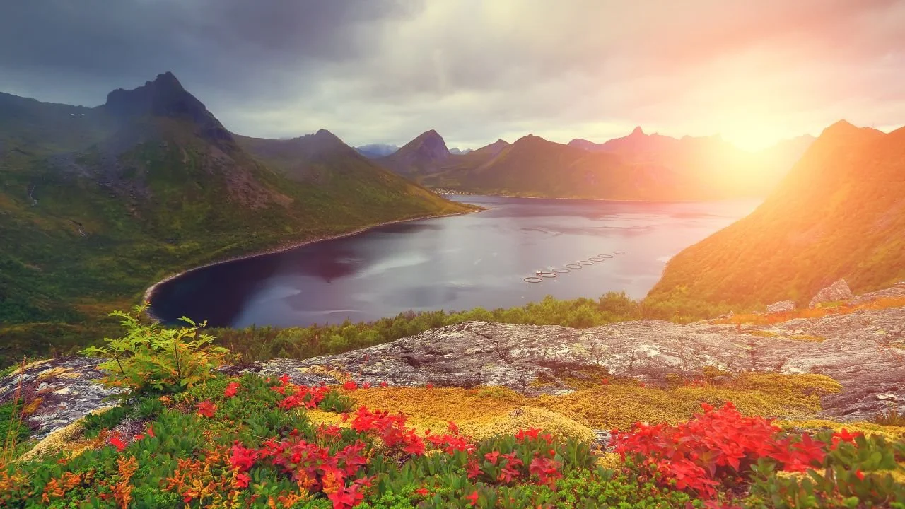 How Much Money I Made in 2025