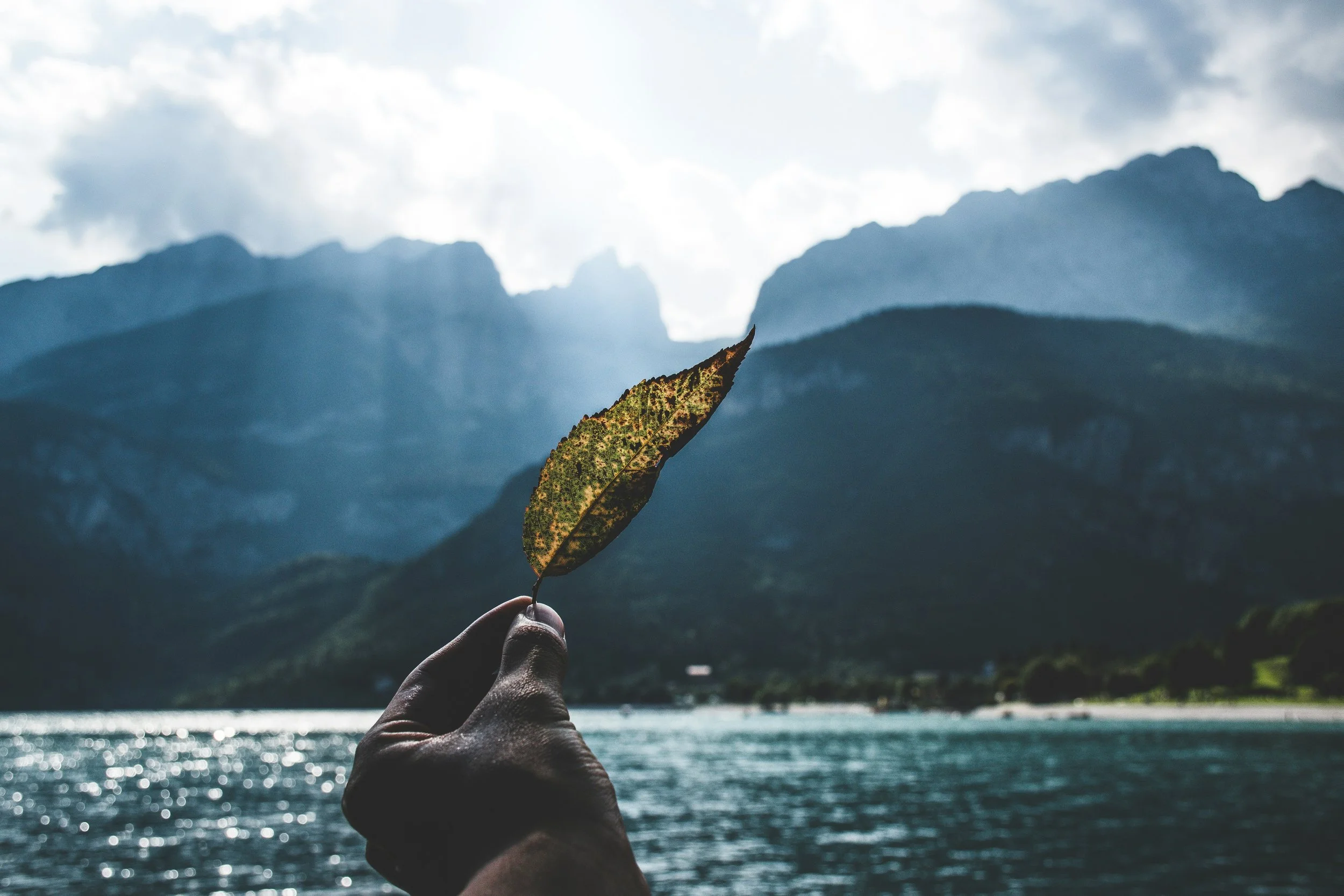 4 Hard-Won Money Beliefs
