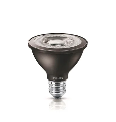 MASTER LEDspot PAR